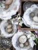 Jeanne d'Arc Living Magasin - udgave 2 / 14. februar 2024.