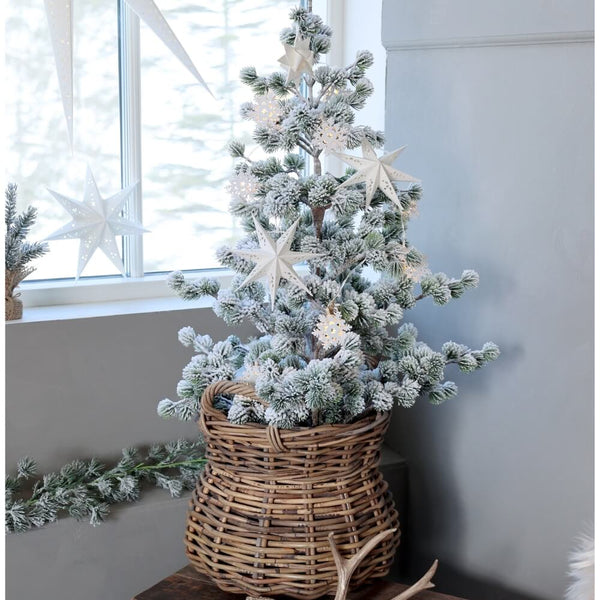 Fleur Cedertræ med sne