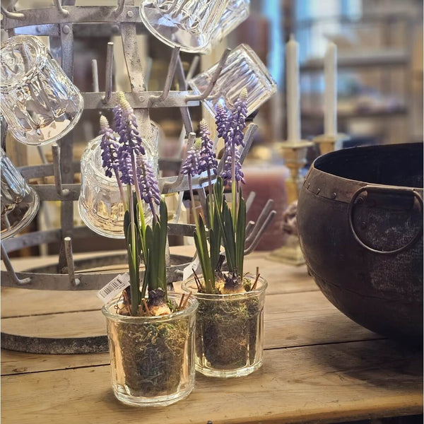 Vintage fransk Marmeladeglas