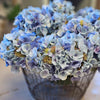 Kunstig Hortensia Blomst blå