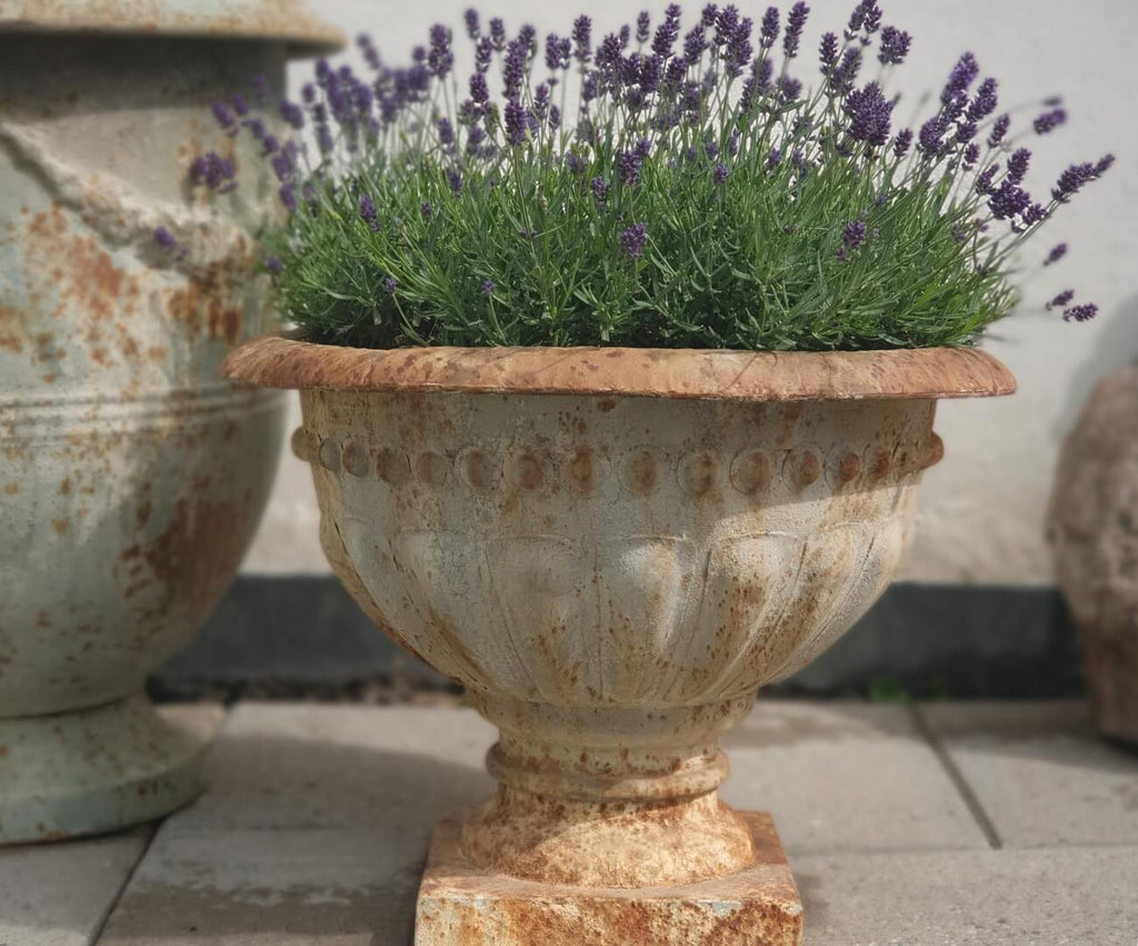 TIP: Sådan undgår du, at havekrukken vælter