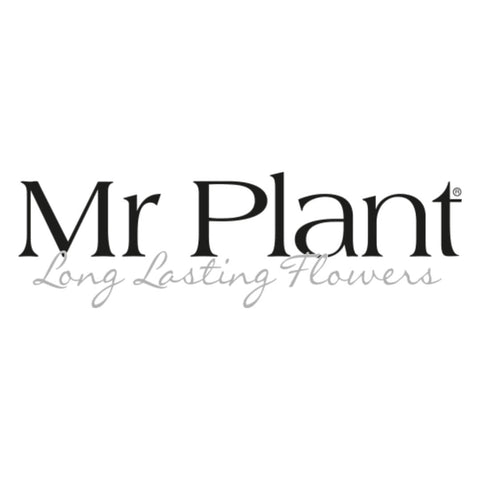 Mr Plant