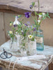 Jeanne d'Arc Living Magasin maj 2023