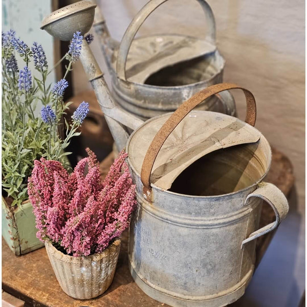 Gammel Zink Vandkande med blomst