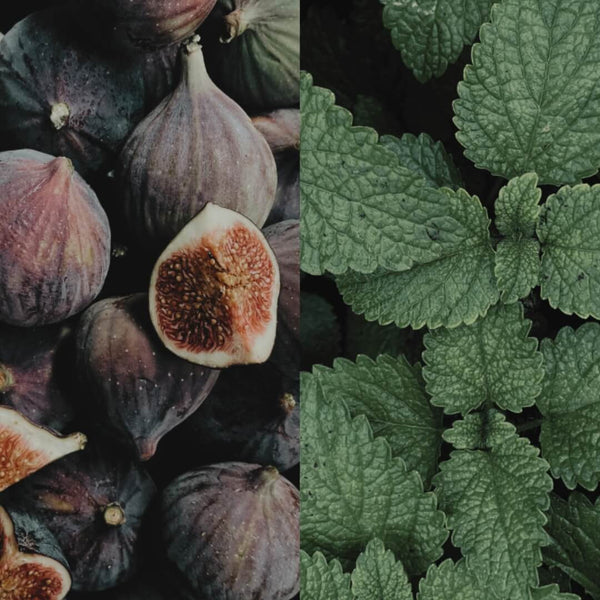 Diffuser The Minted Fig 100ml