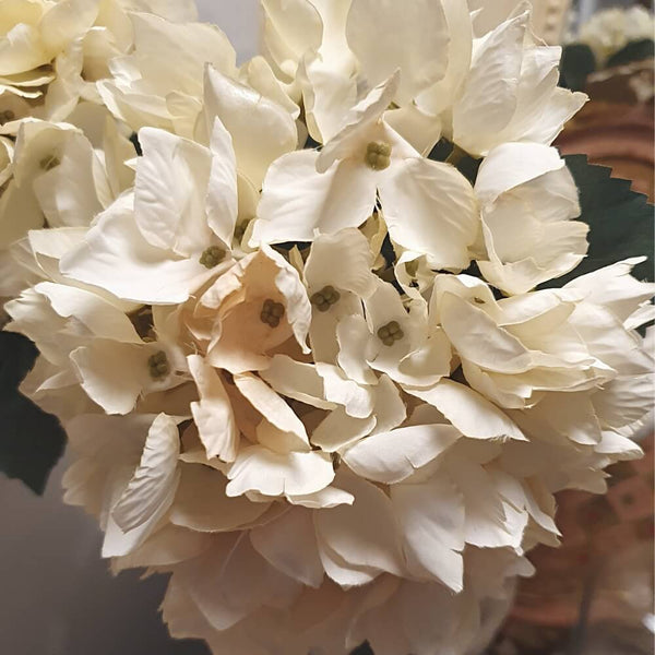 Fleur Hortensia Blomst creme Chic Antique
